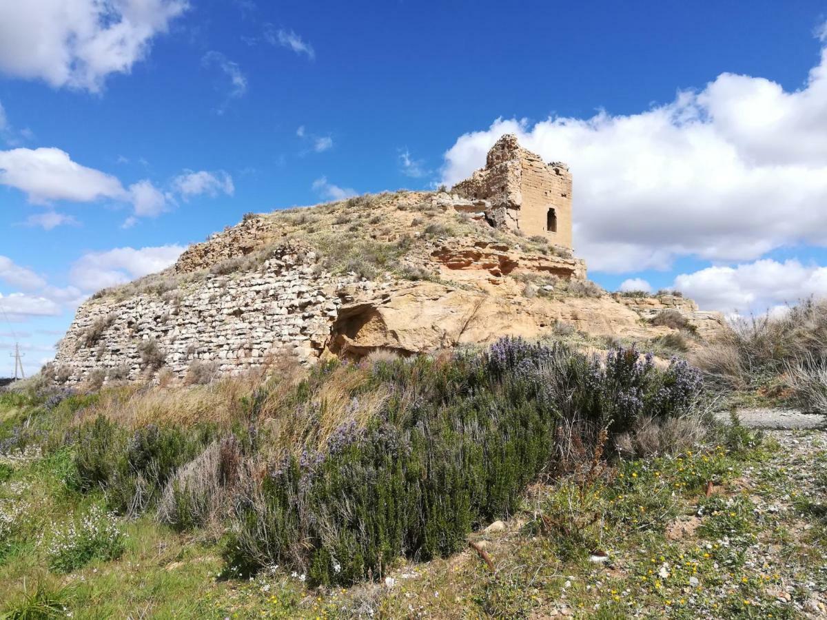 فيلا Ca L'Aviador Sarroca de Lerida المظهر الخارجي الصورة